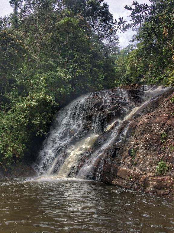 Eco Villa - Sinharaja Deniyaya Bagian luar foto